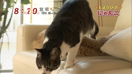 イメージ 22