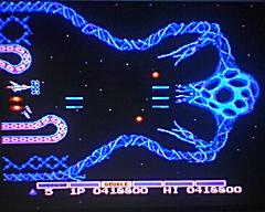 イメージ 7