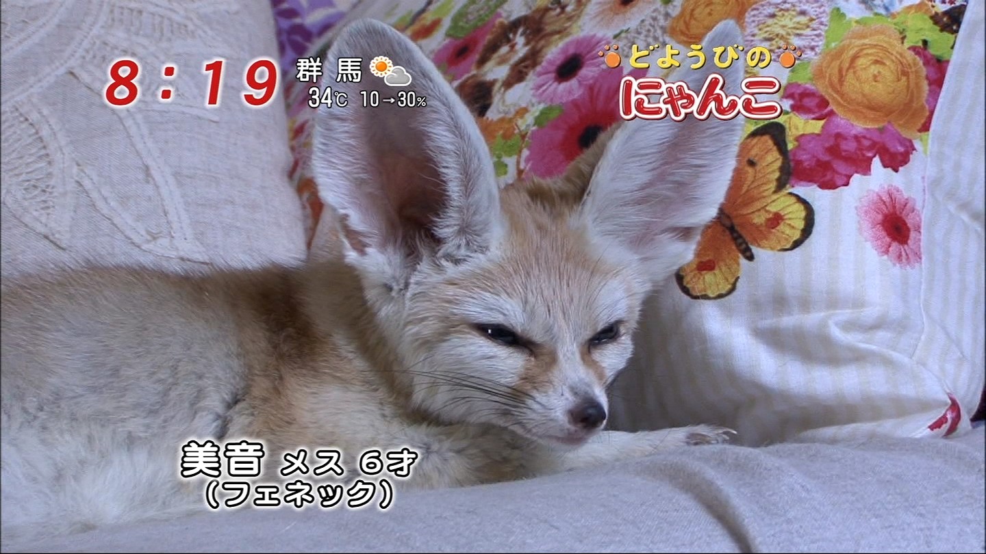 イメージ 9