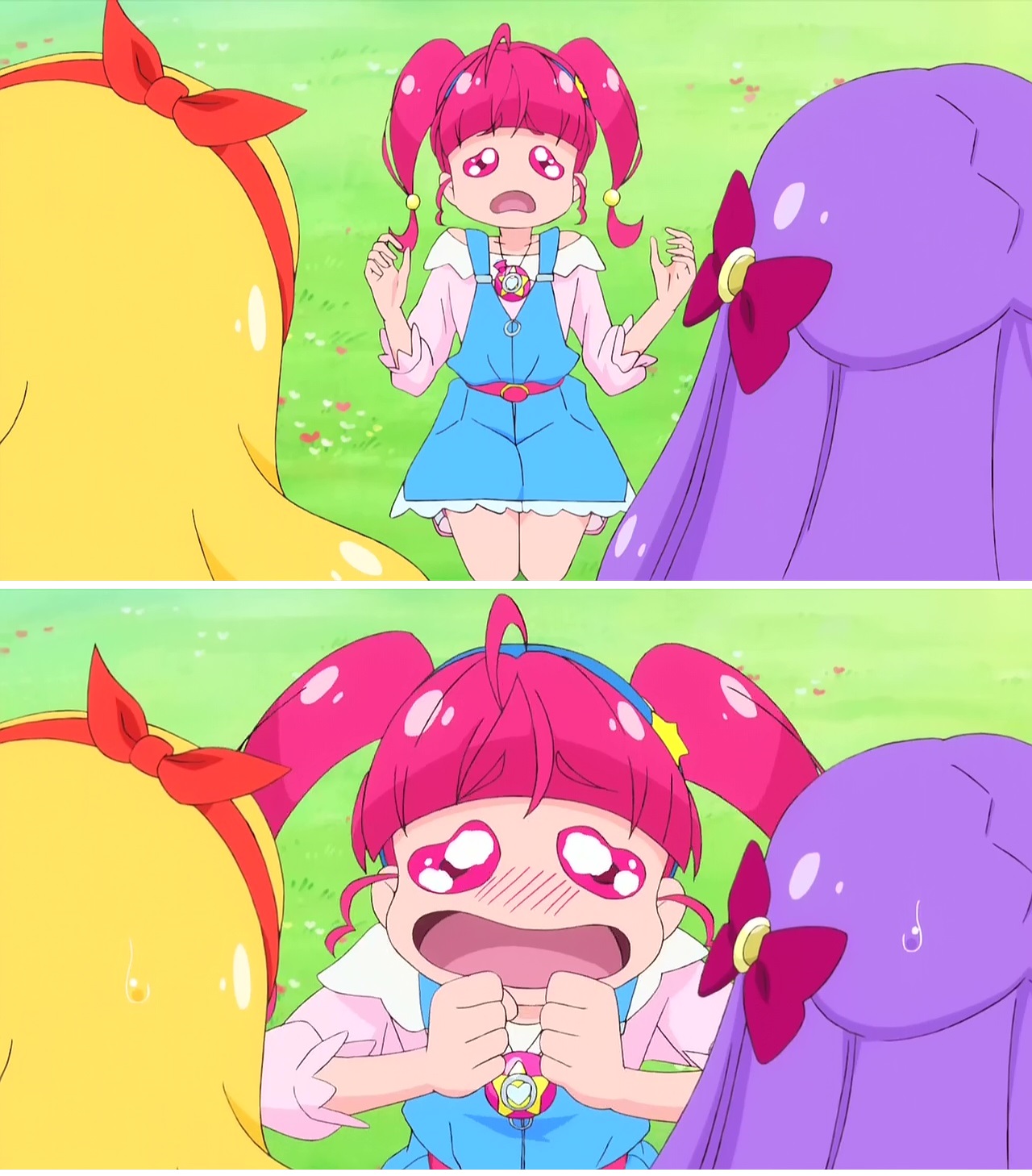 イメージ 15