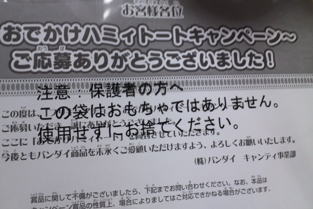 イメージ 8
