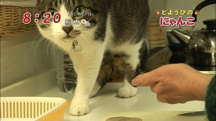 イメージ 5