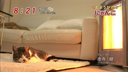 イメージ 17