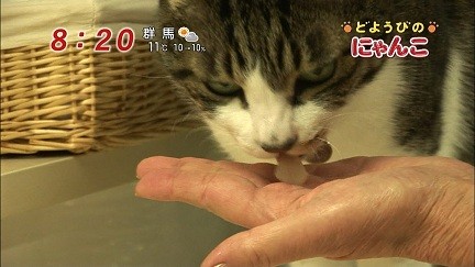イメージ 6