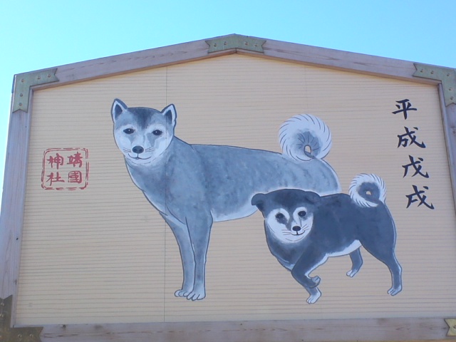 イメージ 13