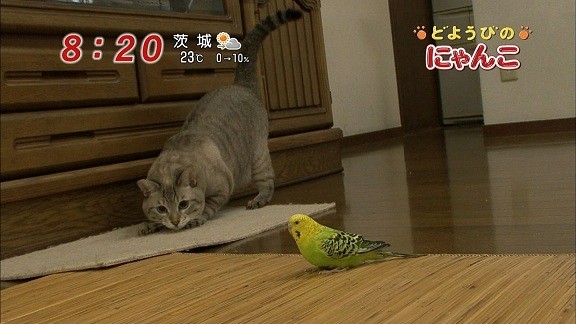 イメージ 5