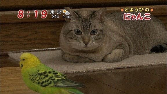 イメージ 12