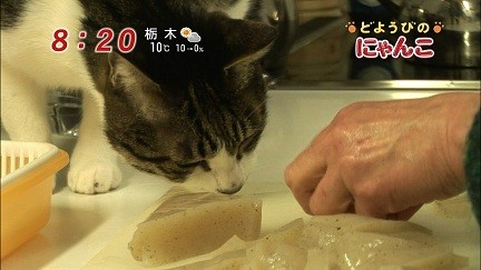 イメージ 4