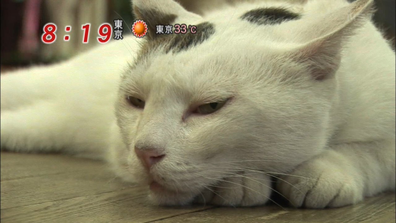 イメージ 4