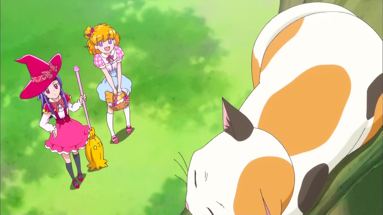 イメージ 9