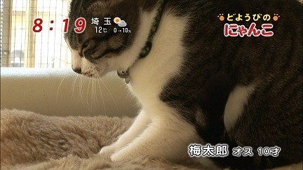 イメージ 18