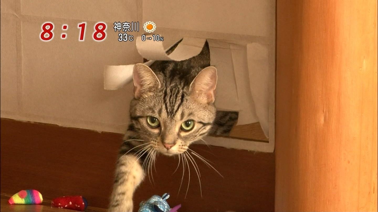 イメージ 2