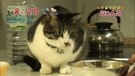 イメージ 12