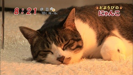 イメージ 16