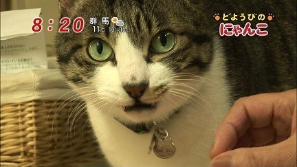 イメージ 8