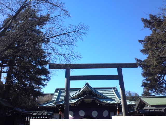 イメージ 10
