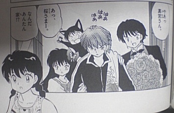 イメージ 7
