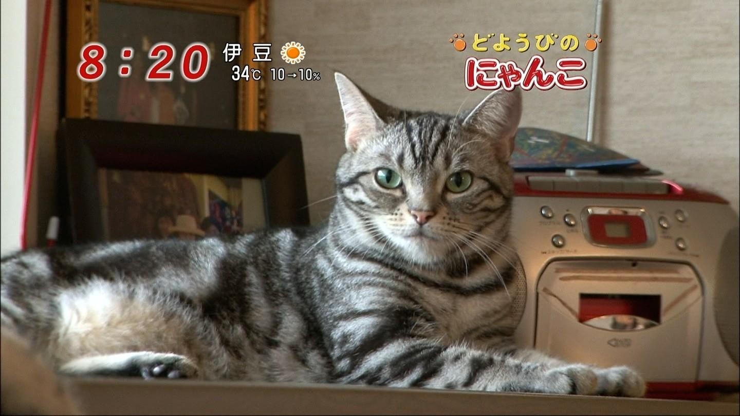イメージ 5