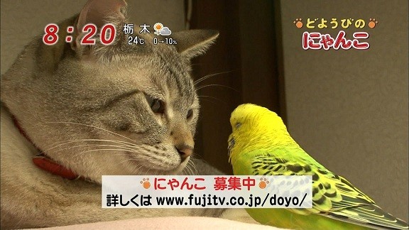 イメージ 10