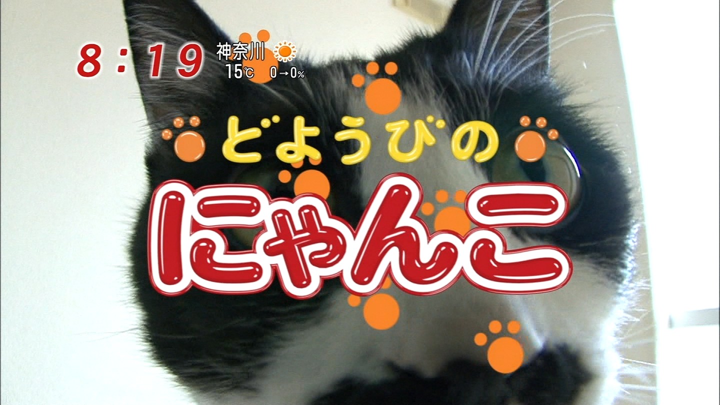 ちょびヒゲ甘えん坊にゃんこ りんごのブログ園 ちょびヒゲ甘えん坊にゃんこ りんごのブログ園