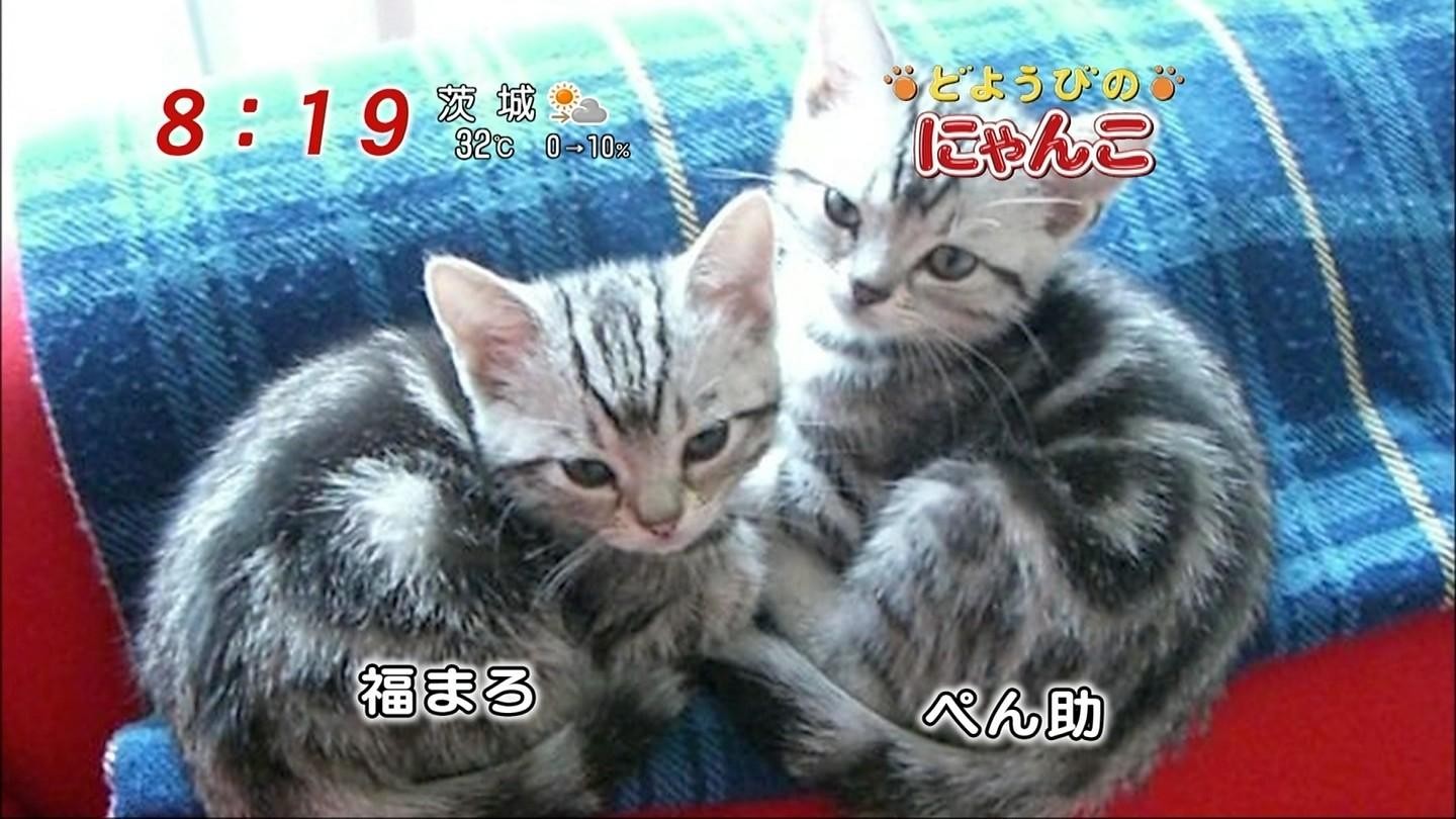 イメージ 8