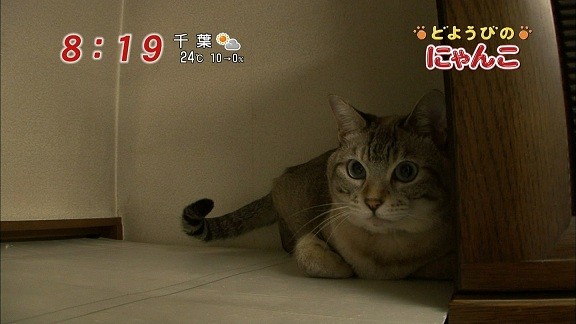 イメージ 18