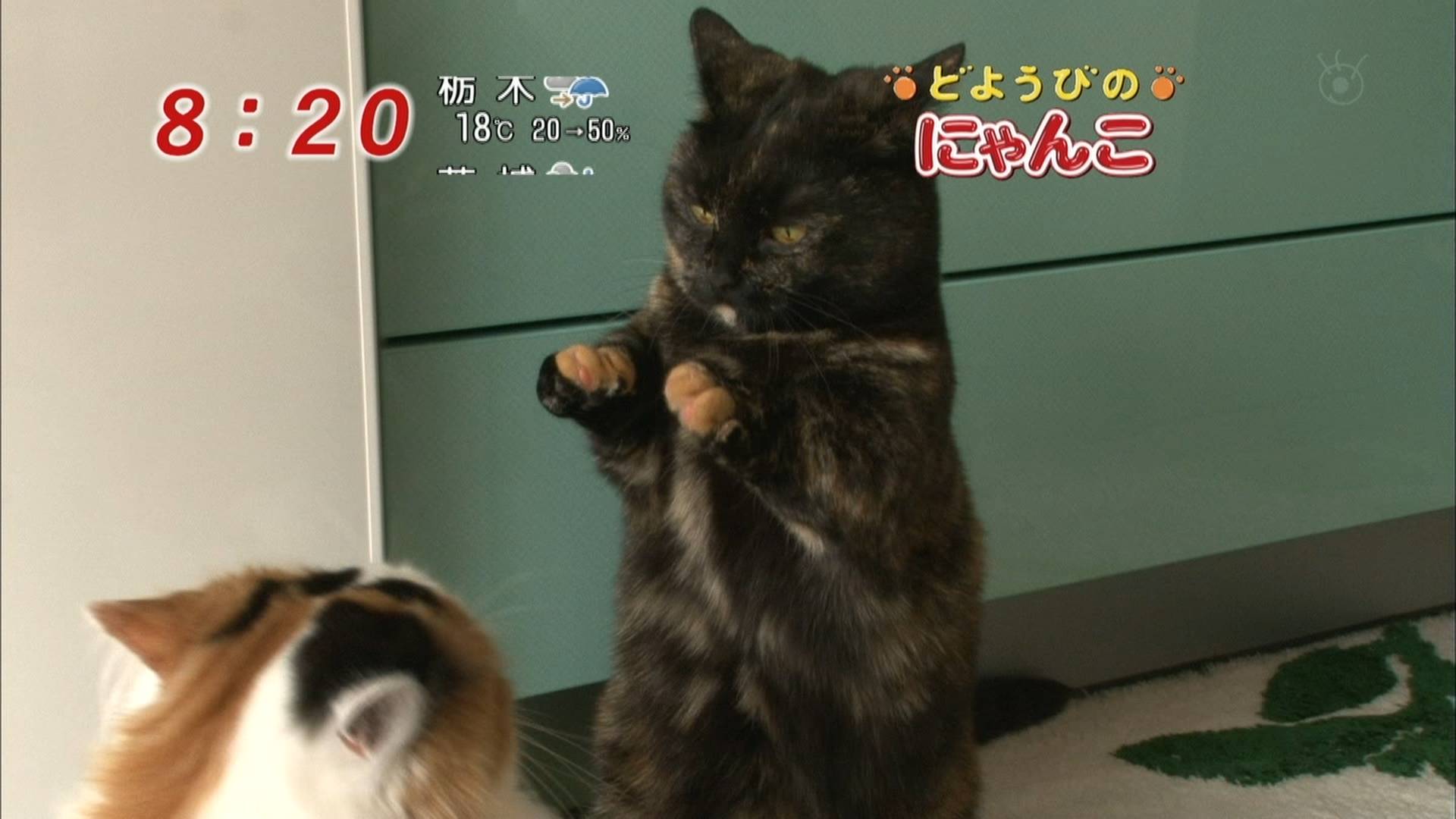 イメージ 2