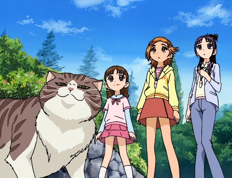 イメージ 8