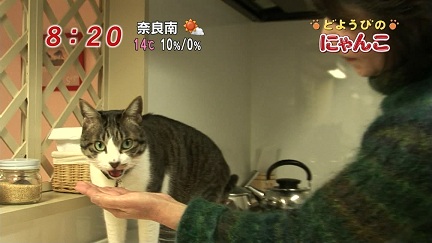 イメージ 11