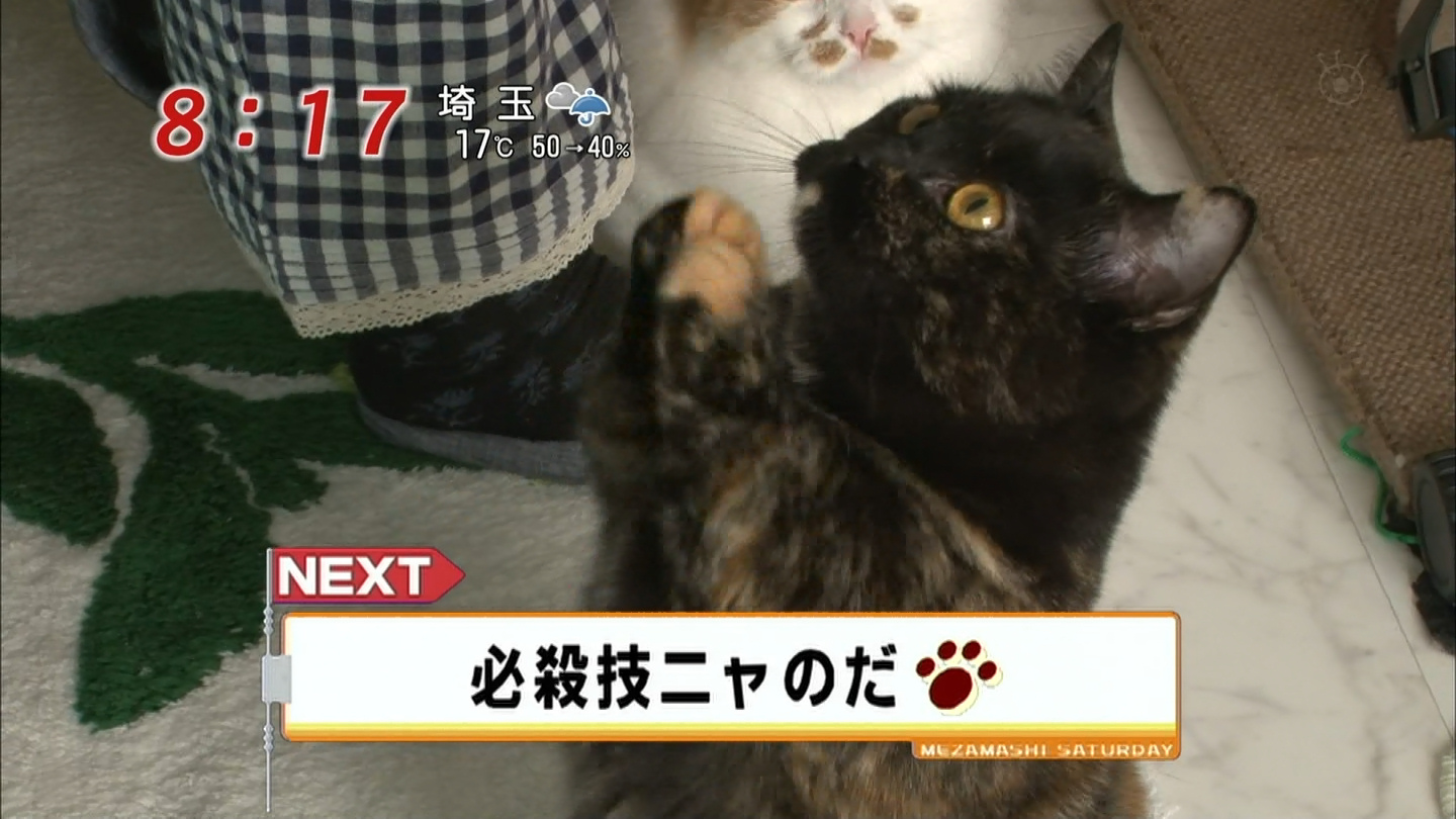 イメージ 4
