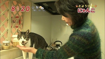 イメージ 10