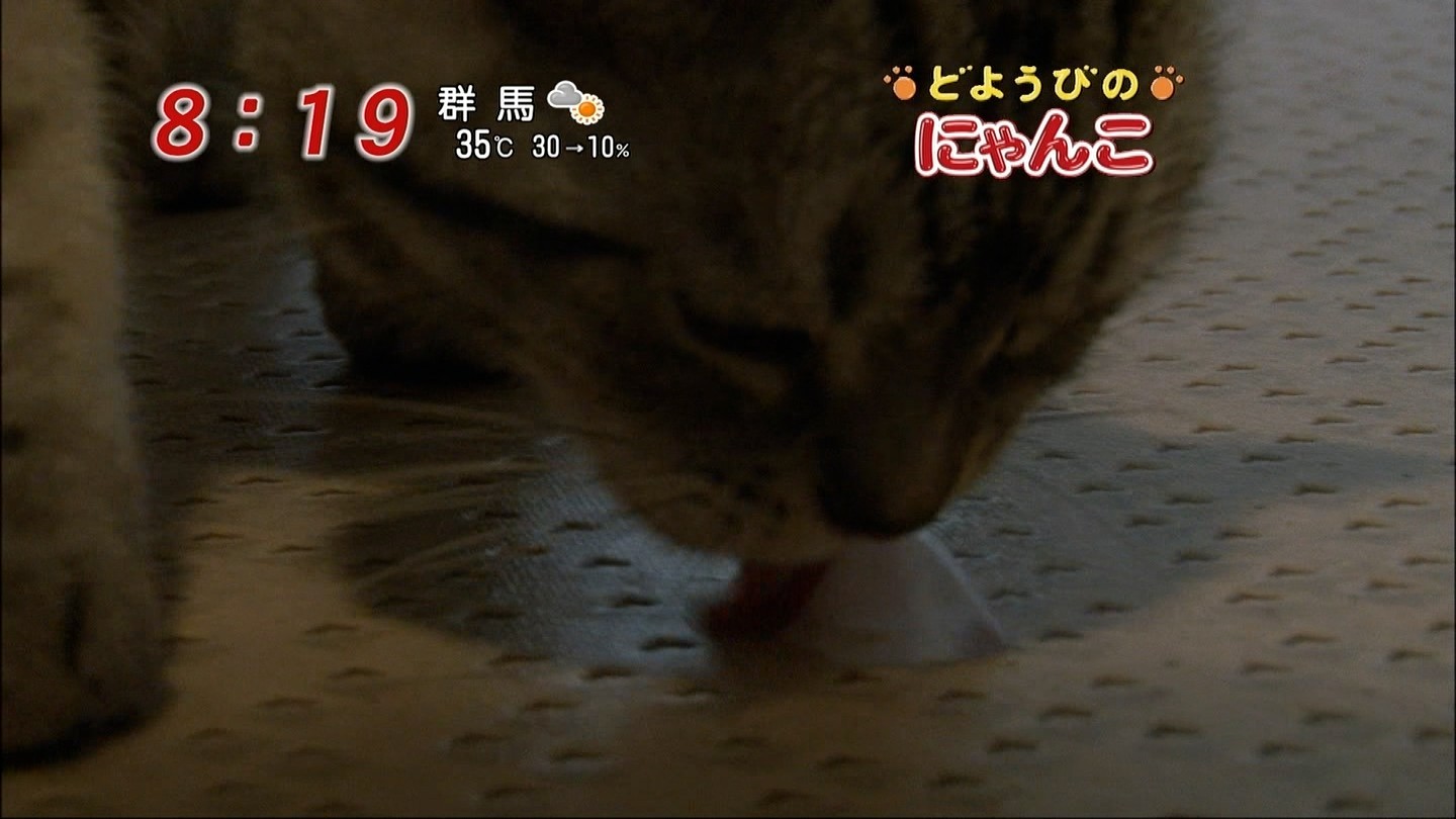イメージ 6