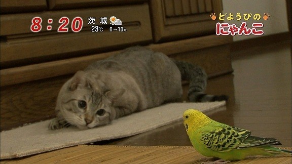 イメージ 6