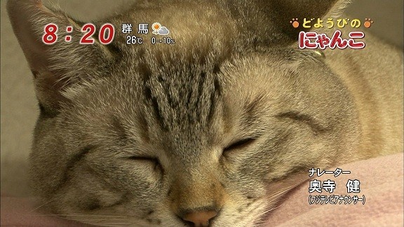 イメージ 11