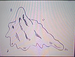 イメージ 7