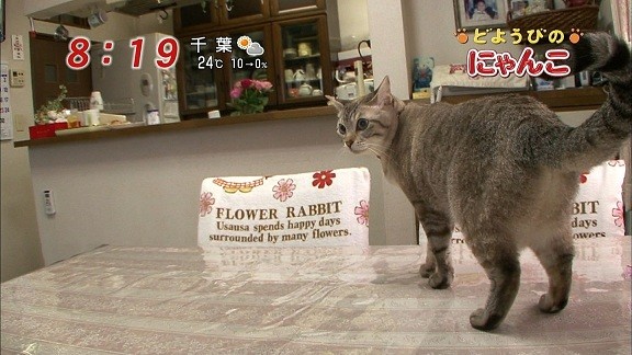 イメージ 3