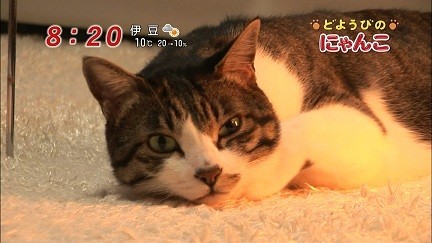 イメージ 15