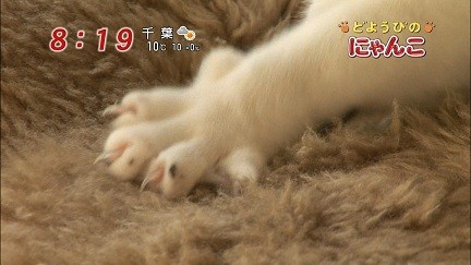 イメージ 20