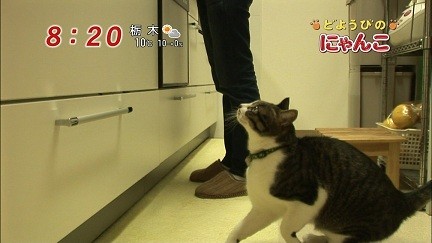 イメージ 24