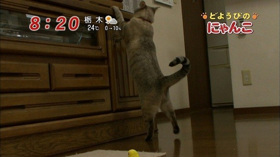 イメージ 9