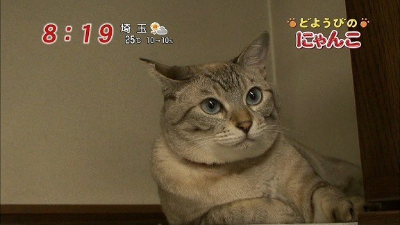 イメージ 15