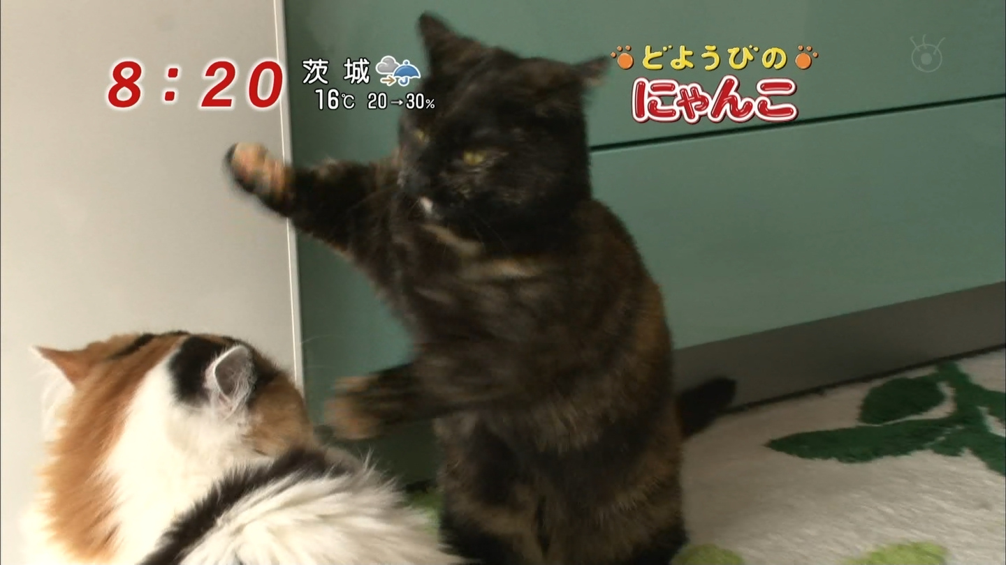 イメージ 3