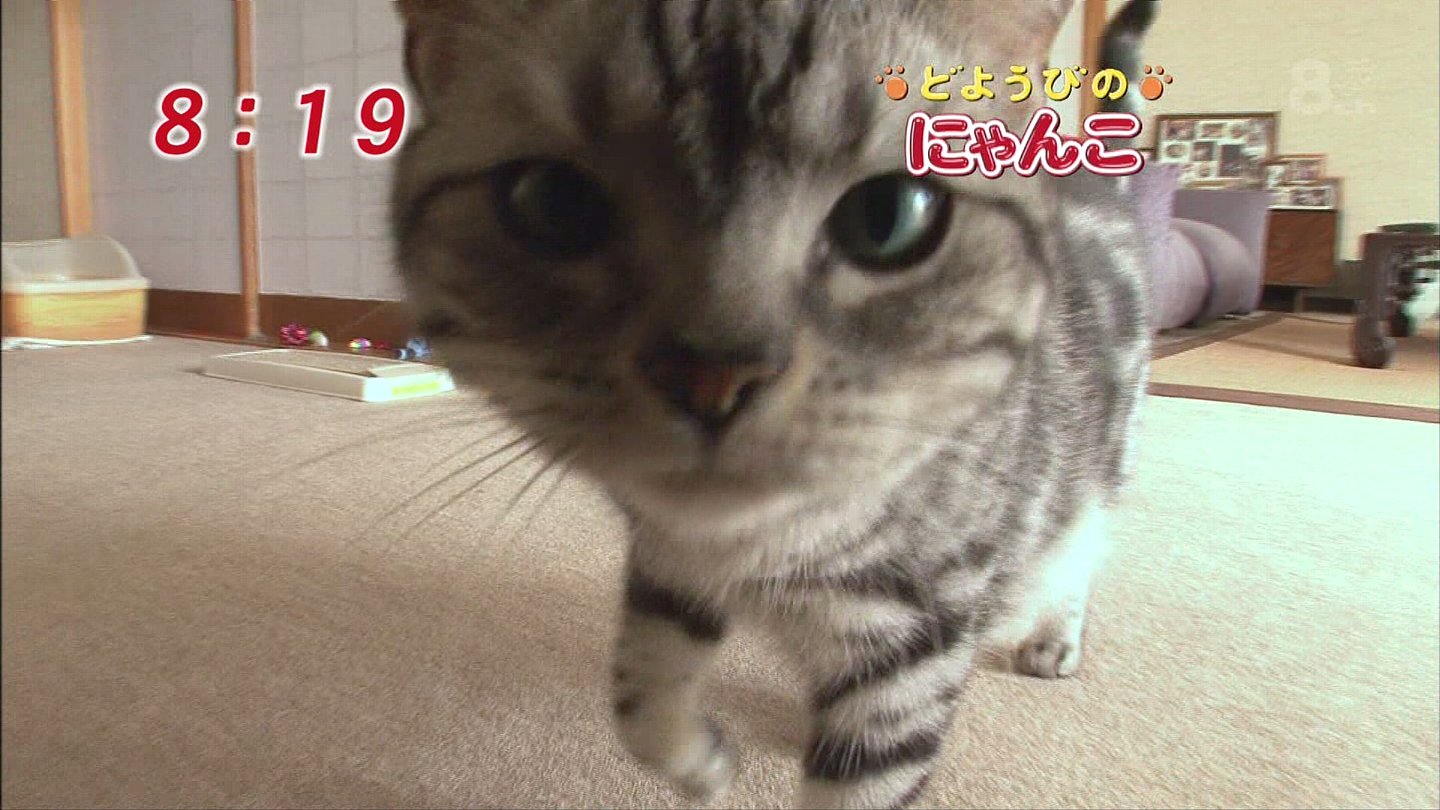 イメージ 2