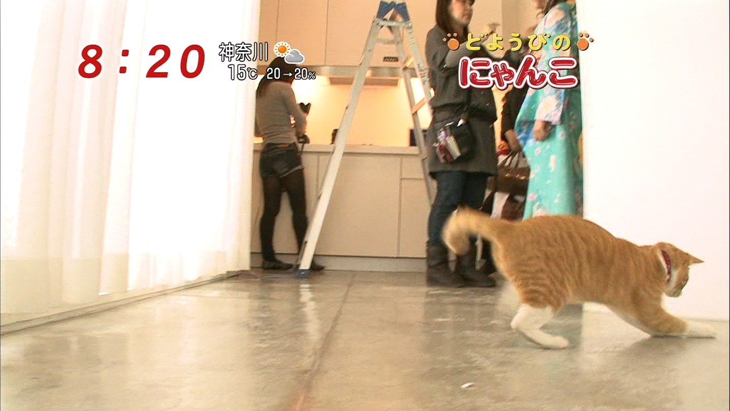 イメージ 2