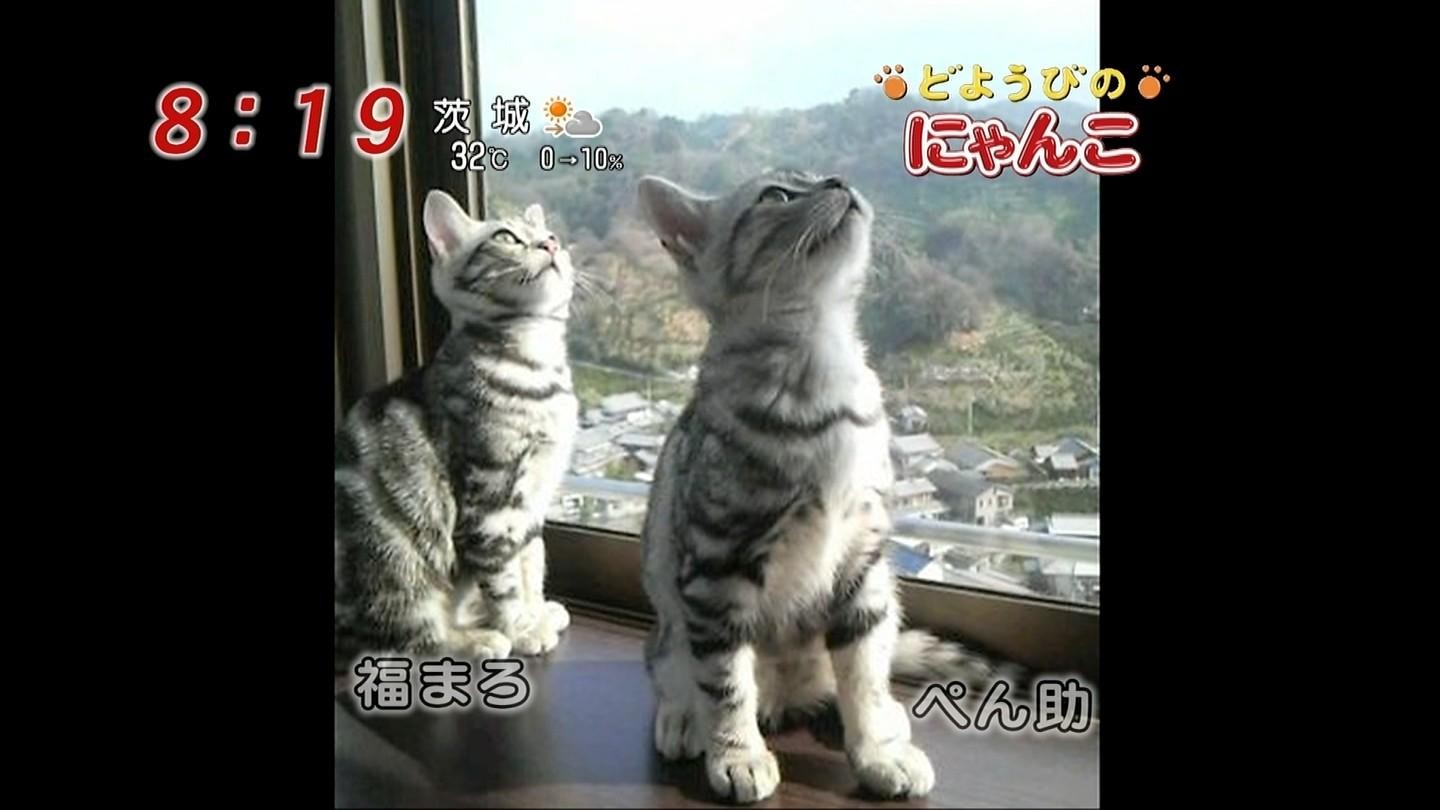 イメージ 9