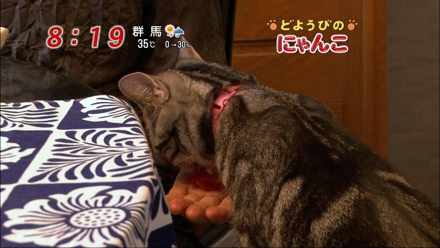 イメージ 13