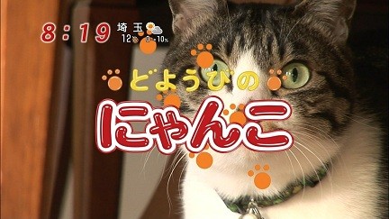 イメージ 13