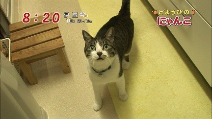 イメージ 14