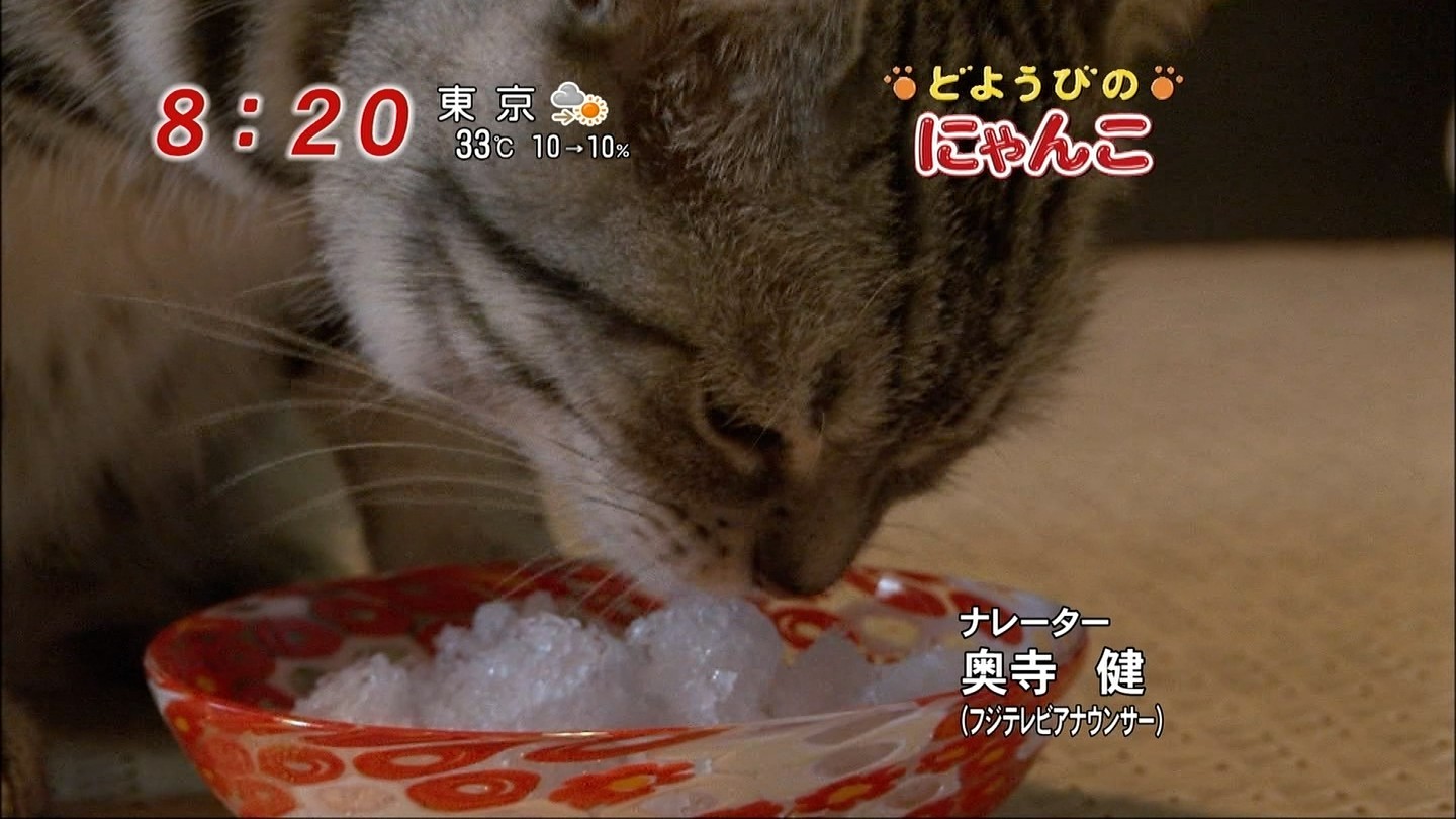 イメージ 10