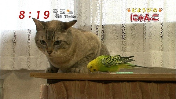 イメージ 14